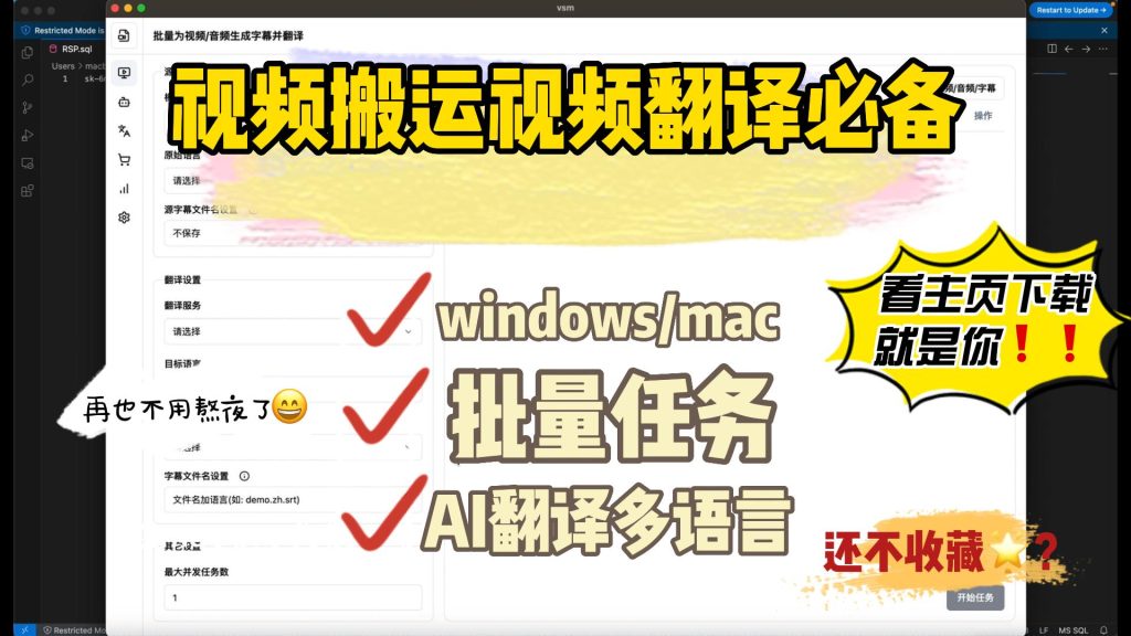 图片[1]-视频翻译器 视频搬运神器 VSM
